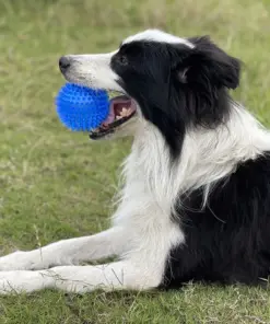 MyDog squeaky dog ball, view 6
