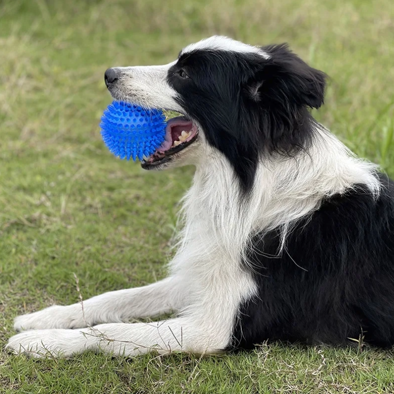 MyDog squeaky dog ball, view 6