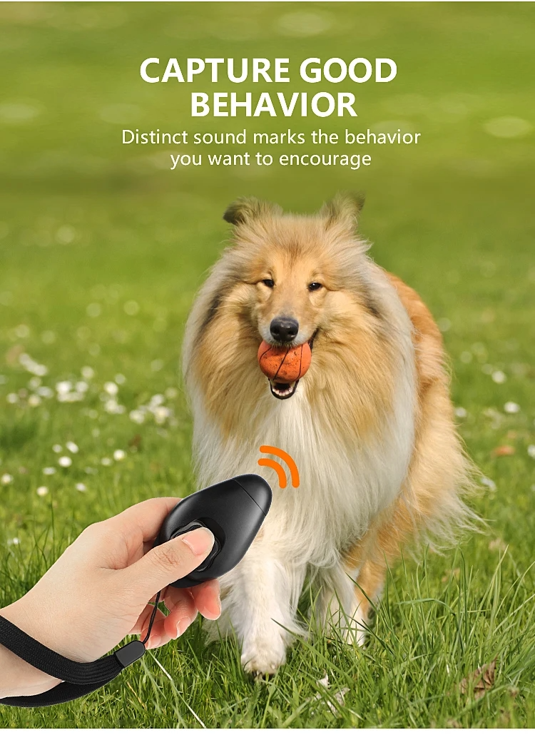 MyDog dog training clicker, view 5