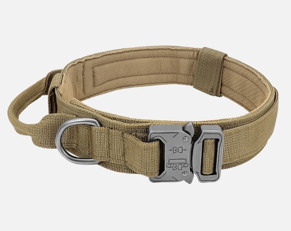 MyDog tactical dog collar, view 4