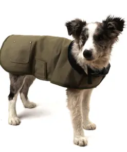 MyDog brown duck canvas winter dog coat, view 4