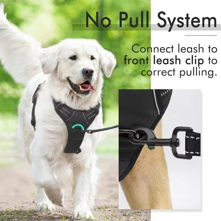 MyDog no-pull dog harness, view 3