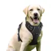 MyDog no-pull dog harness, view 9