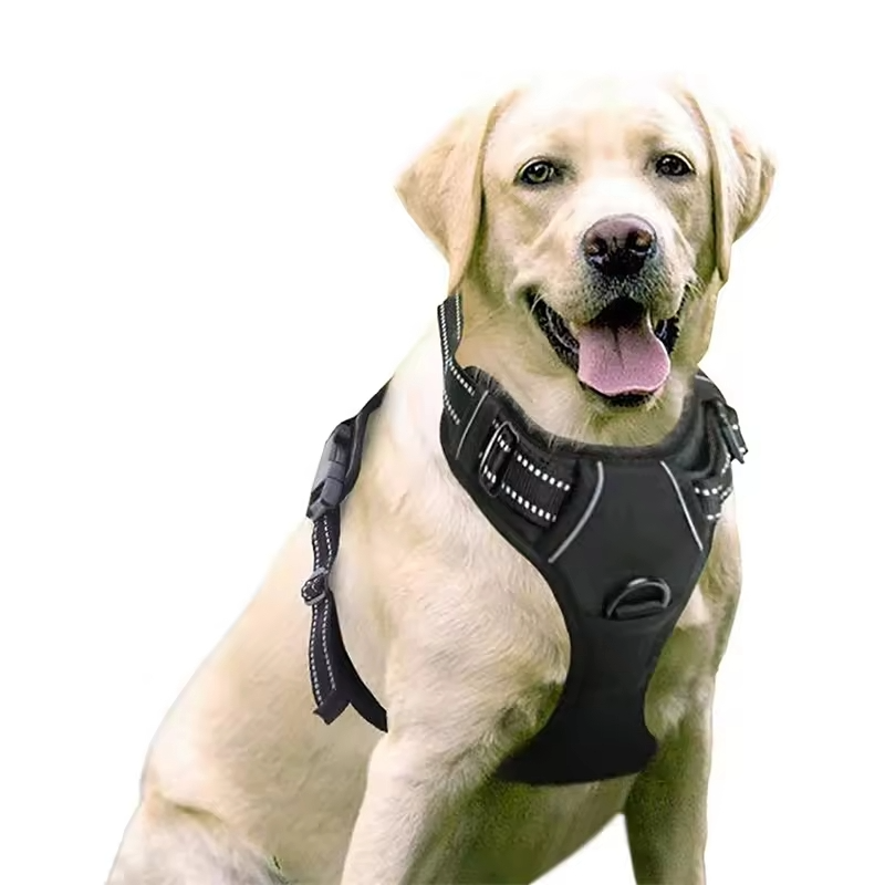 MyDog no-pull dog harness, view 9