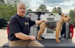 MyDog kennel promo thumbnail