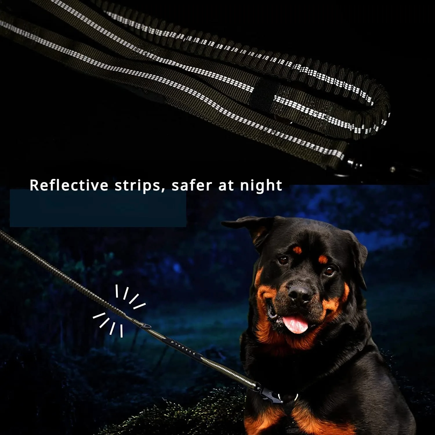 MyDog heavy-duty bungee dog leash, view 3